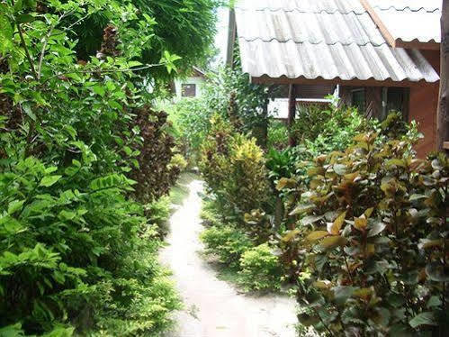 Save Bungalows タオ島 エクステリア 写真